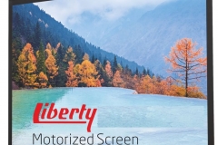 motorized liberty